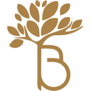 /assets/logo-BmJbIW4M.png